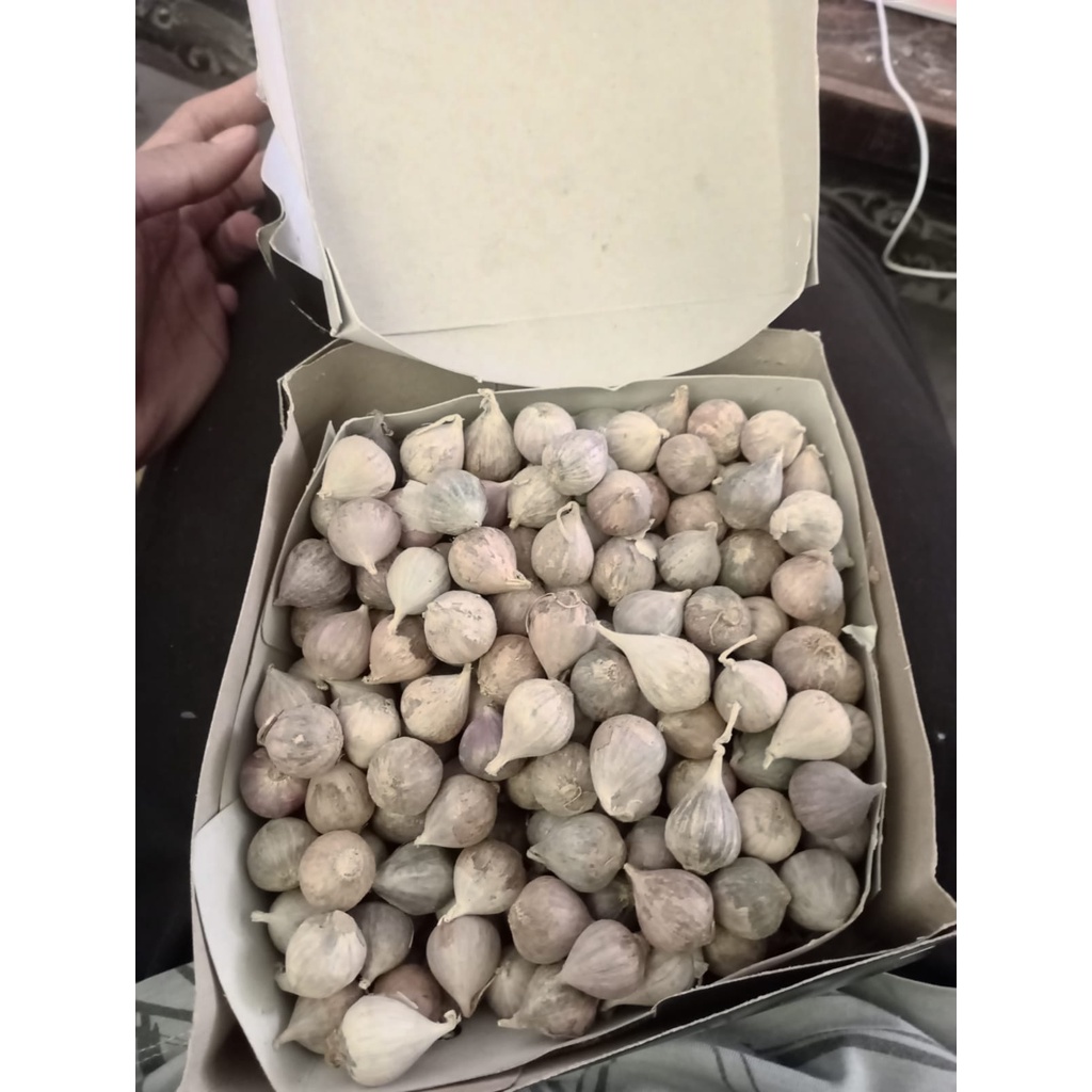 

BAWANG TUNGGAL COCOK UNTUK KOLESTROL DAN CAMPURAN MADU SERTA FERMENTASI 1KG