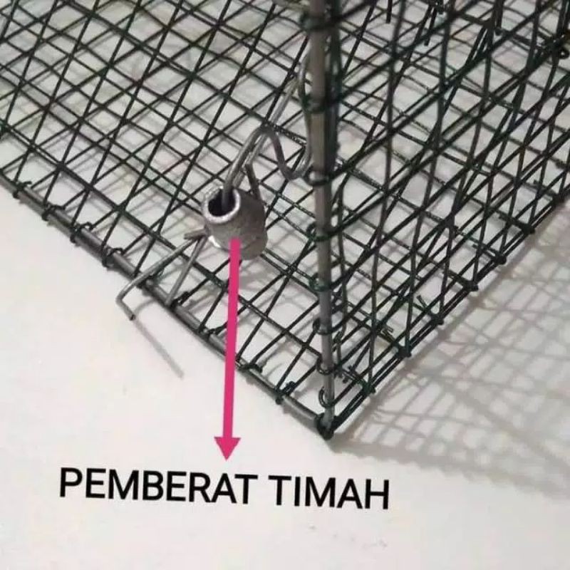 JEBAKAN TIKUS MASSAL