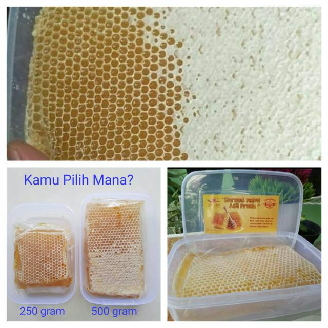 

Sarang Madu Asli Fresh