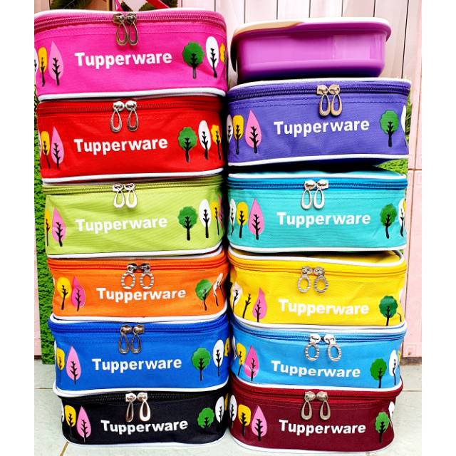 Tas Bekal Perempuan Nasi Hangat Anak Tk Viral Murah Y3Q0 Bepergian Oval Karakter Tebal Cute Mini Sim