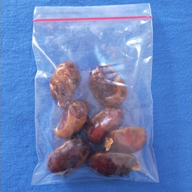

[sachet] Kurma Khalas