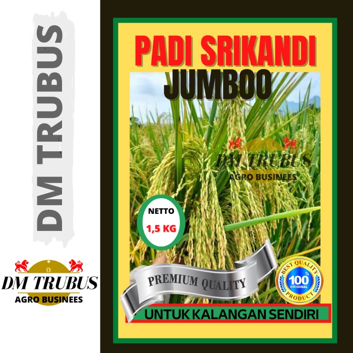 Benih Bibit Padi Unggul Premium Srikandi Super Jumbo  Berat 1,5 kg