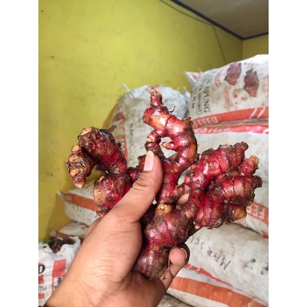 

JAHE MERAH FRESH/JAHE MERAH 1 Kg