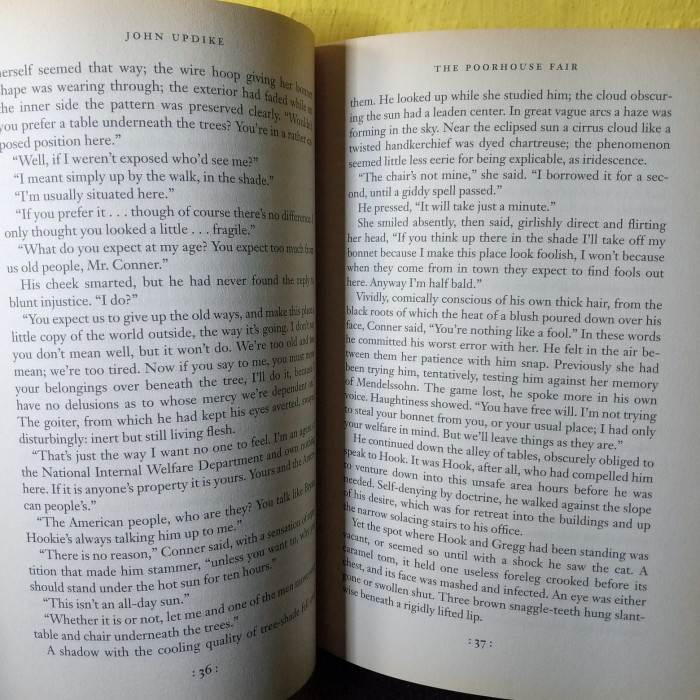 novel bahasa Inggris the poorhouse fair 153 hal