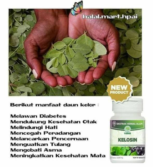 Kelosin Hni Hpai Obat Herbal Untuk Membantu Sirkulasi Darah Indonesia