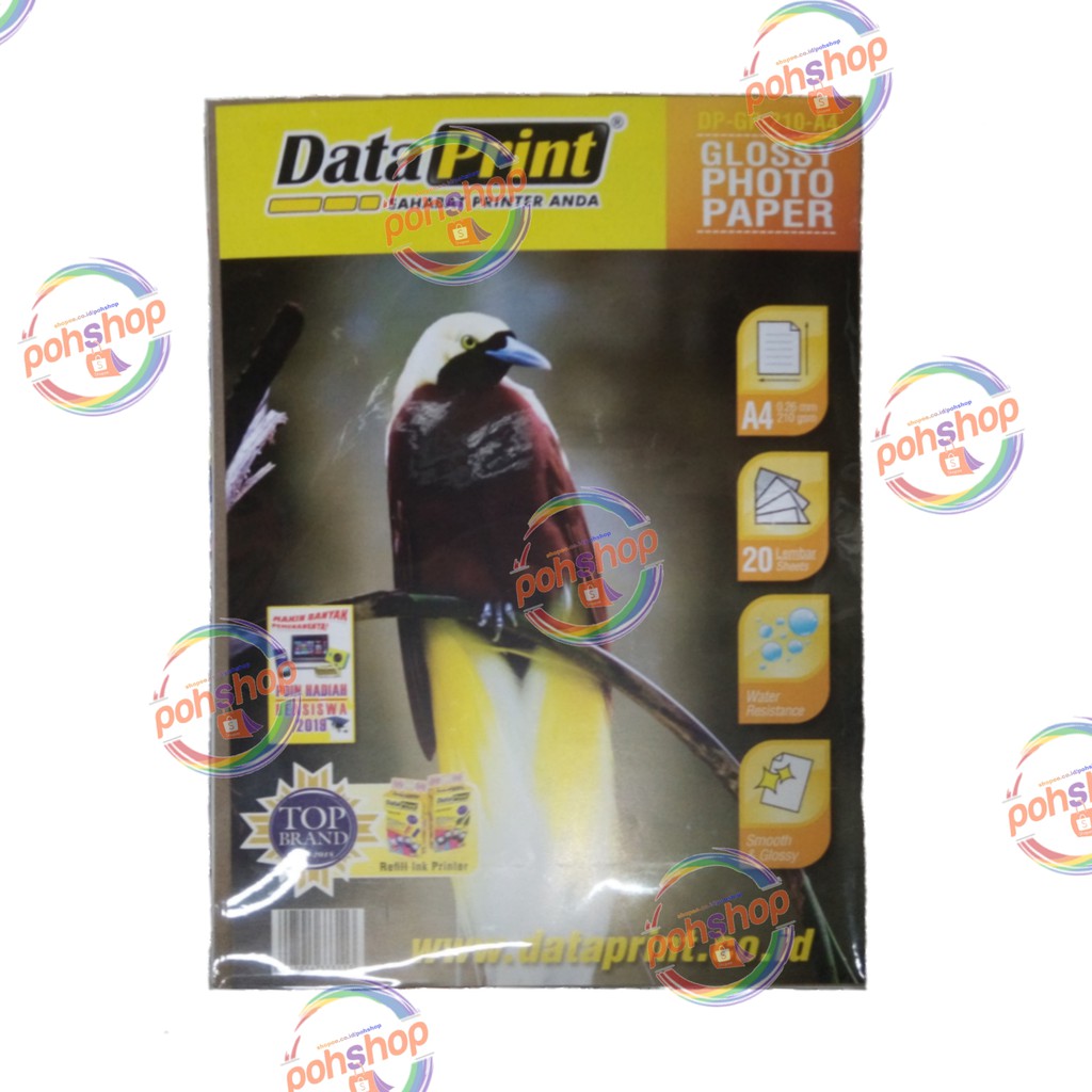 

DataPrint Glossy Photo Paper A4/210gsm 20's