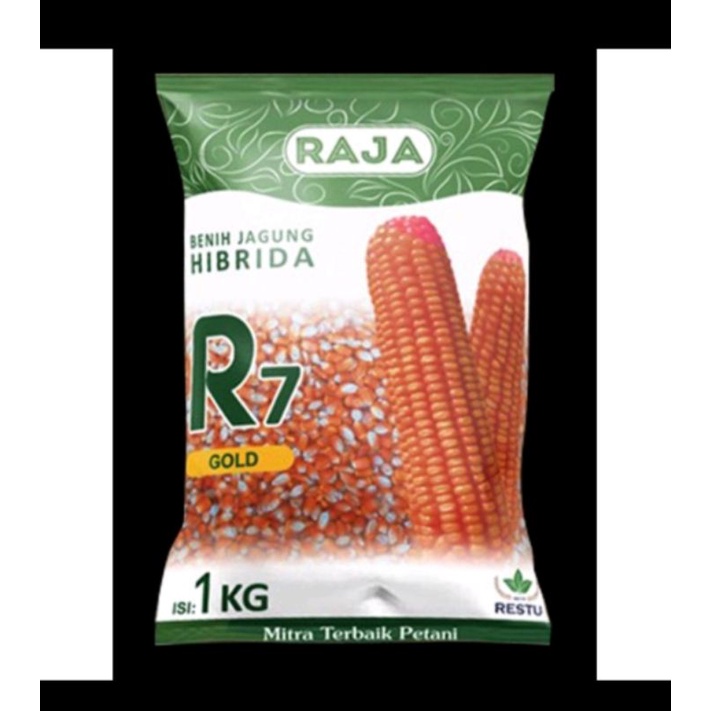 Benih Jagung Hibrida R7 GOLD