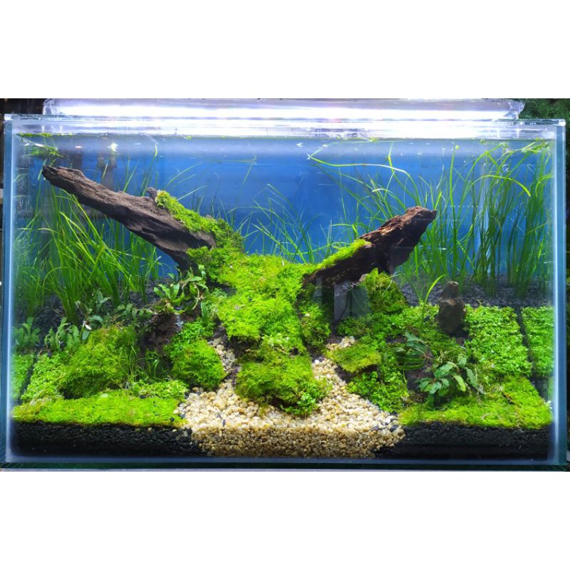 aquascape tema natural fullset (PO)