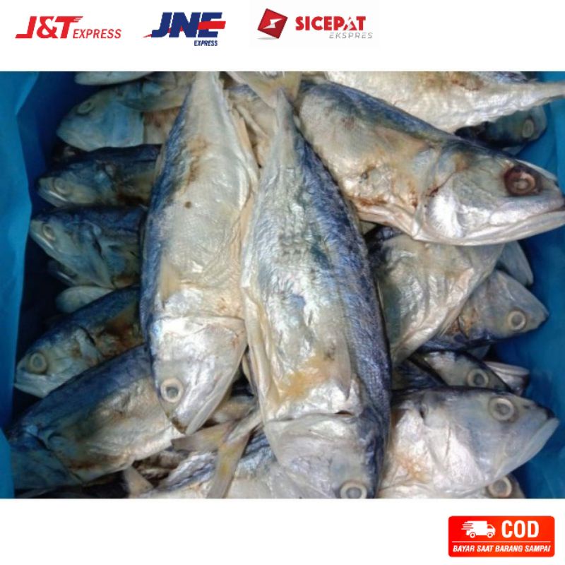 

Ikan asin peda ikan asin gembung medan 500 gram