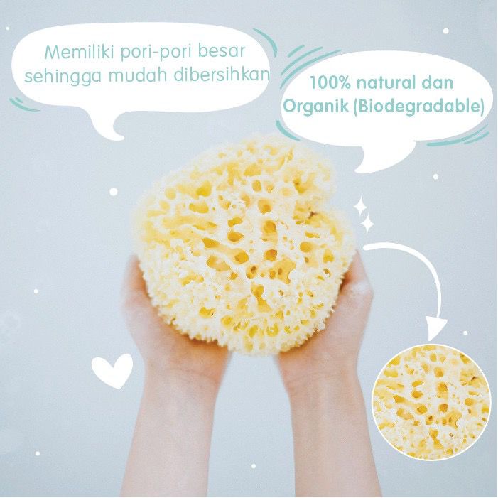 Bellini Natural Sea Sponges Honeycom - Sponge Mandi Bayi