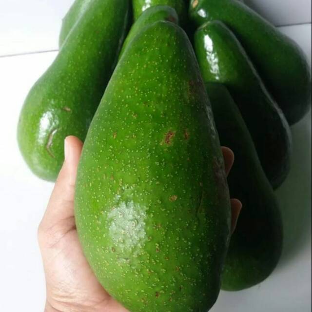

Alpukat mentega Bomb