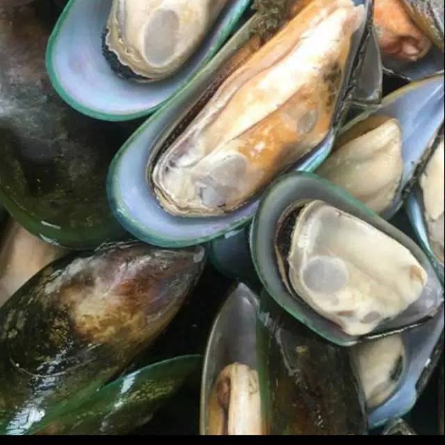 

Kerang hijau 500 gram