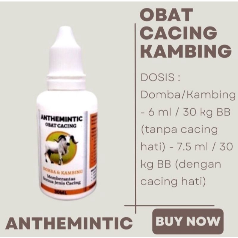 Obat Cacing Kambing Domba Ampuh ANTHEMINTIC Shaestore15