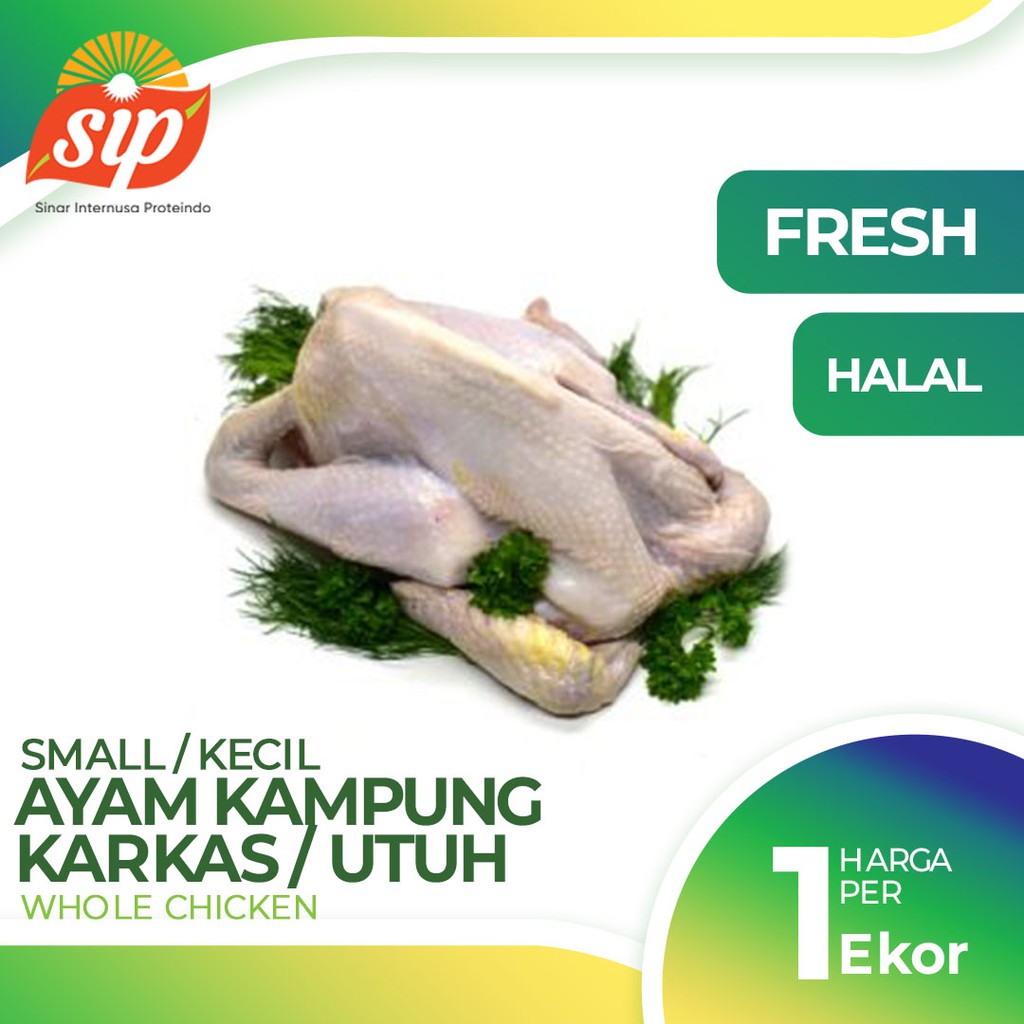

Ayam Kampung Kecil