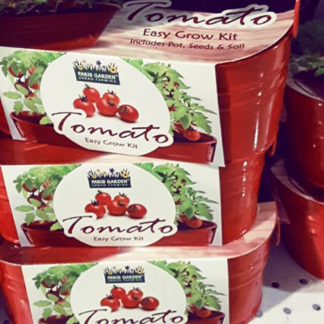 (PROMO S/D 31 DES) GROW KIT POT+BIBIT TOMAT IMPORT