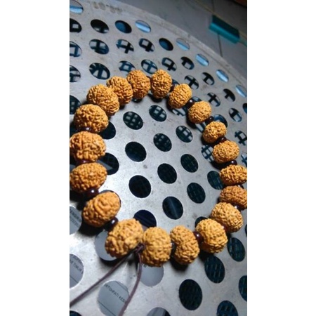 gelang rudraksha mukhi 8 mukhi