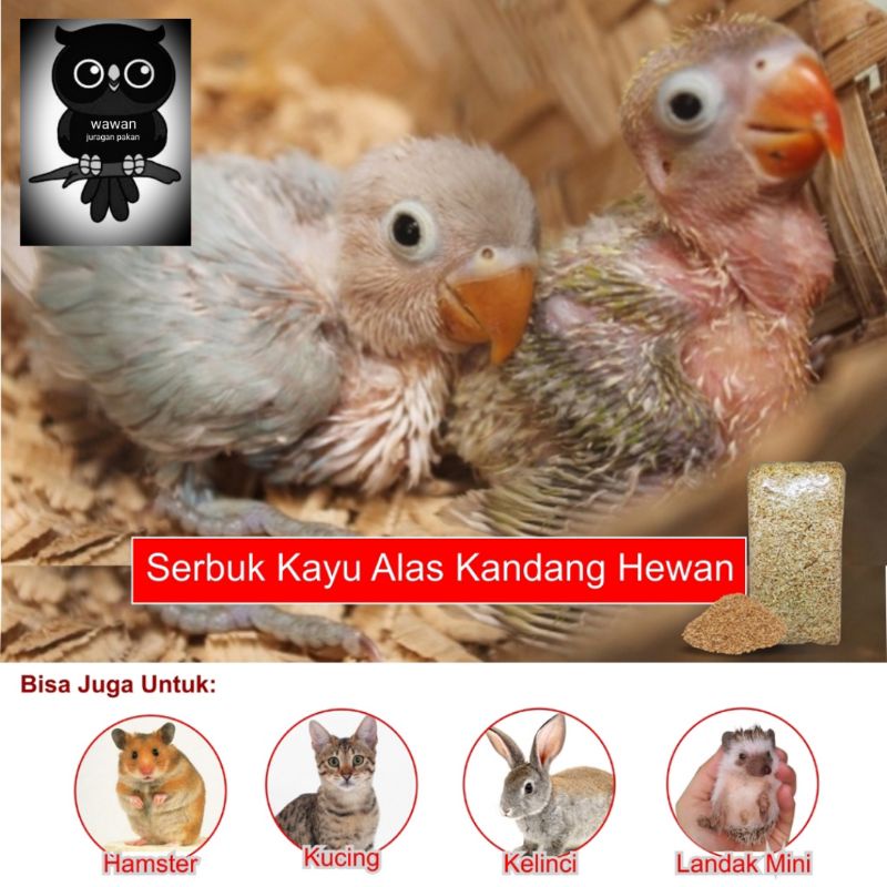 SERBUK KAYU GERGAJI HALUS alas kandang untuk anakan piyik burung