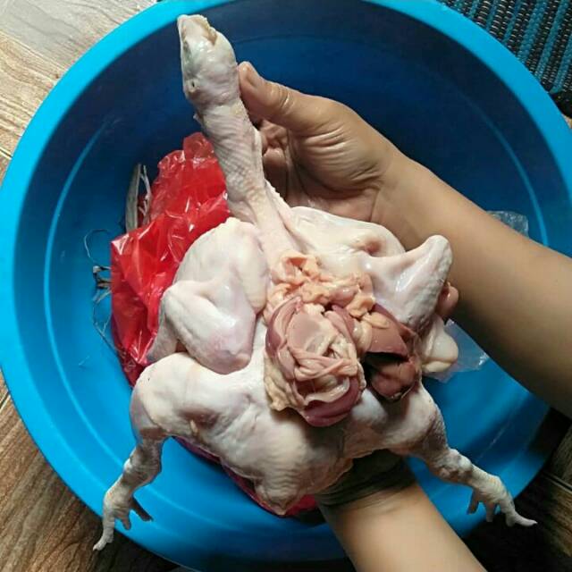 

Ayam Potong Segar Syar'i