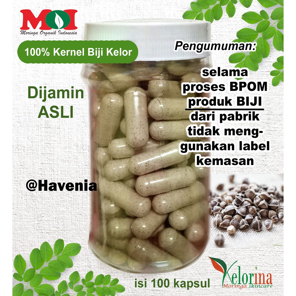 ASLI Kapsul Biji Kelor KELORINA isi 100 - DETOX Racun dan Pencernaan