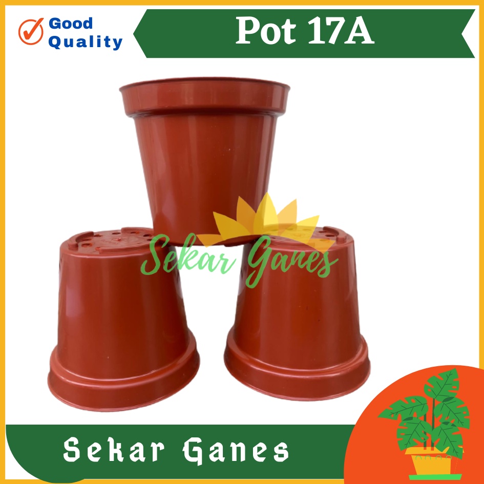 Pot Tinggi 17A Merah Bata Terracota  Merah Coklat Mirip Pot Usa Eiffel 20 25 Pot Tinggi Tirus 10 15 18 20 30 35 40 50 Cm Plastik Besar Hitam Putih Termurah Pot Tanaman Bahan Bagus