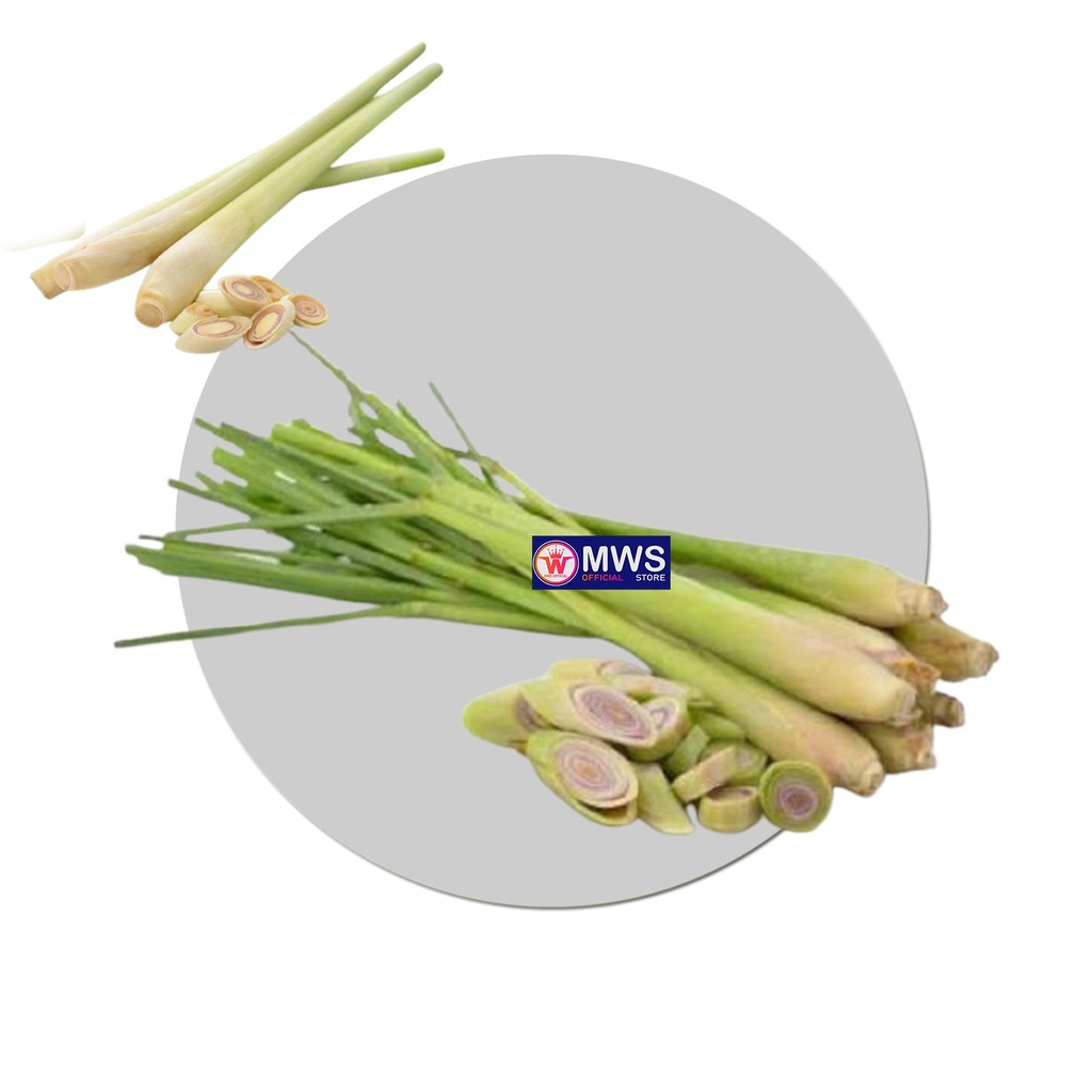 

sereh segar bumbu rempah 1 kg MWS