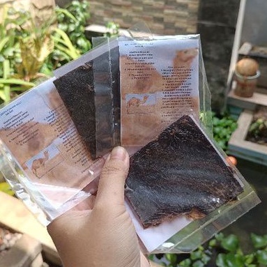 Hati unta madinah, hati unta kering Obat asma 10gr buy 10pcs free 1 pcs