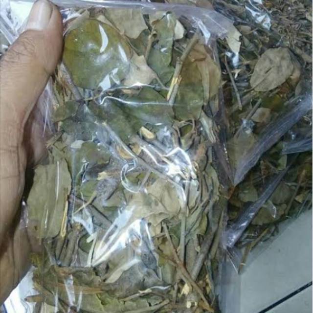 

Benalu Kering Pohon Randu-Teh Benalu Randu Kering 500 Grm sudah P-IRT