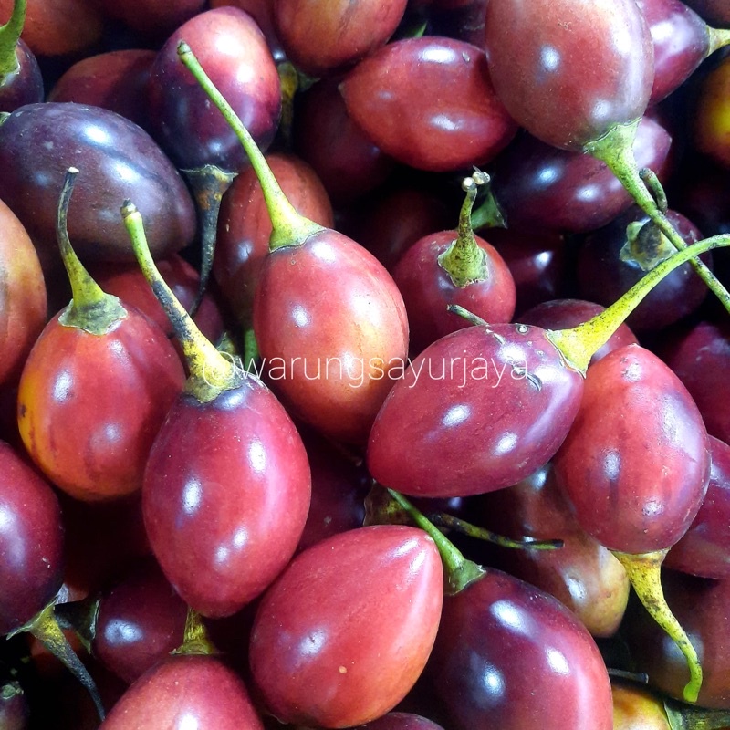 

Buah Terong Belanda 500 gr