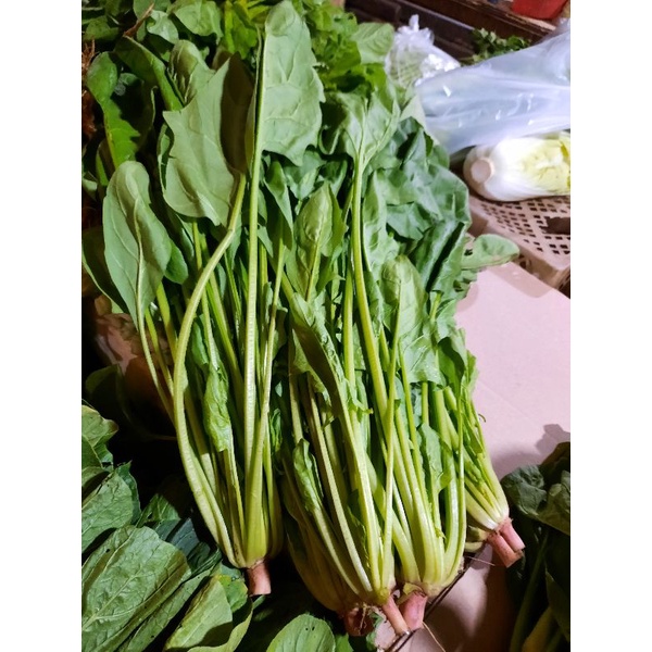 

Bayam Jepang / Poling / Pocay / 250gr