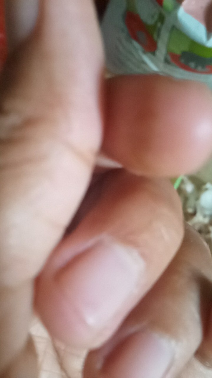 Size M L Xl Xxl Xxxl Bswart Batik Hrb026 Kenongo Hem Pendek Padi Pekalongan M