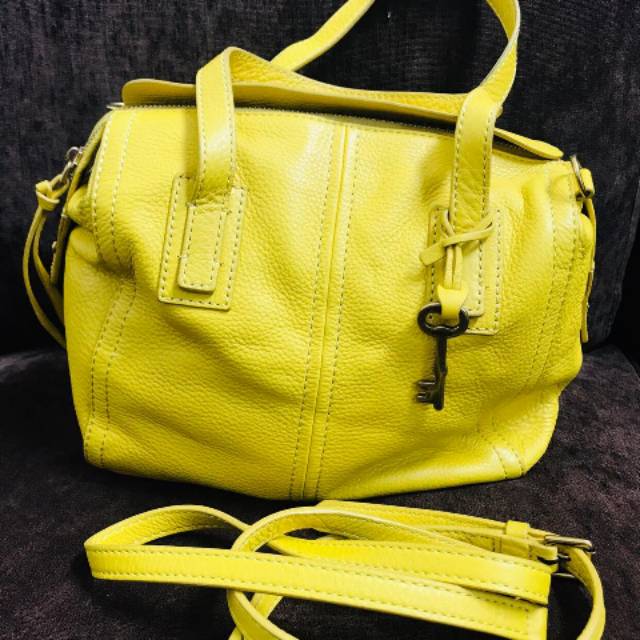 Fossil mimosa satchel yellow