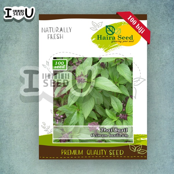 Haira Seed Bibit-Biji Thai Basil