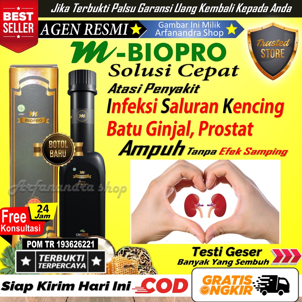Obat Herbal ISK Infeksi Saluran Kemih Kencing Gagal Ginjal Kencing Anyang Anyangan Nanah Berdarah Pr