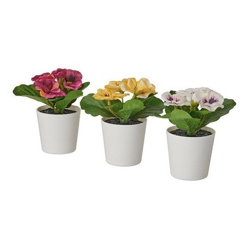 Promo Tanaman Dekorasi Bunga Viola Kecil Dengan Pot Putih 3 Warna Ukur 7C6_4Gusxd