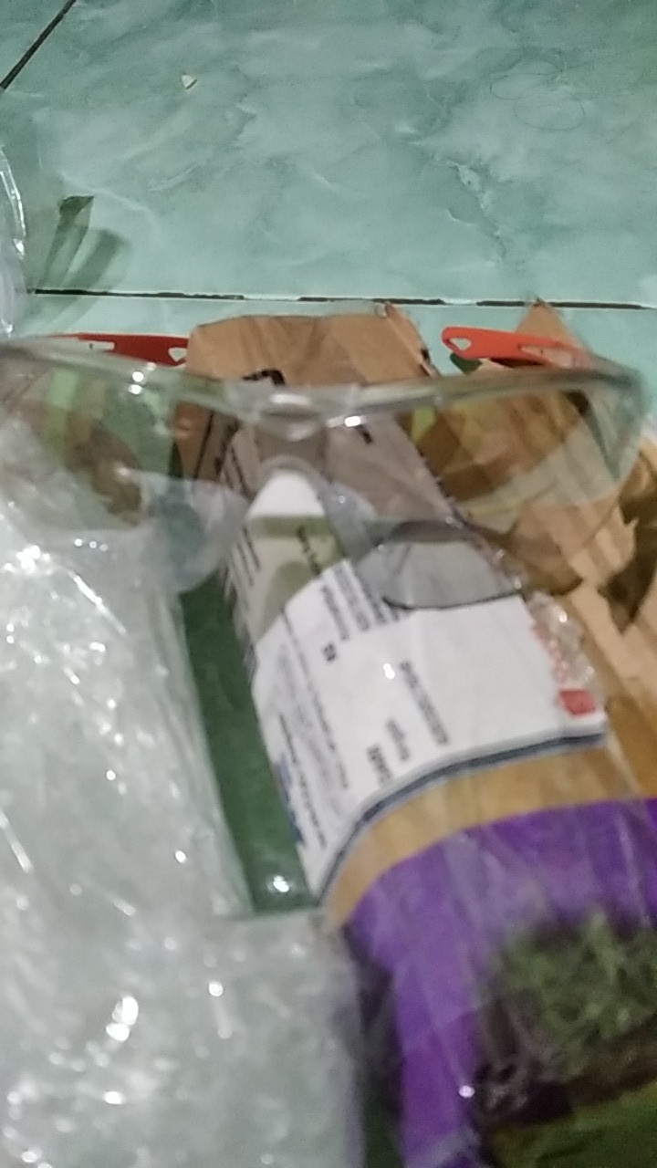 Kacamata Safety Kings Clear