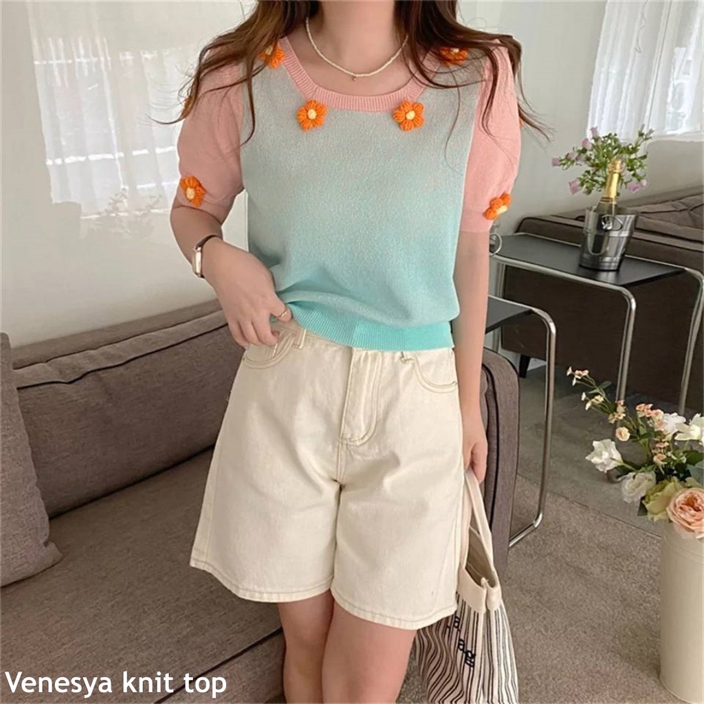 Venesya knit top - Thejanclothes