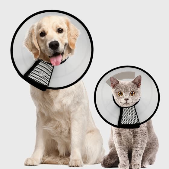 Collar No 4 / Pet Protection Cover/ Corong Anjing Kucing