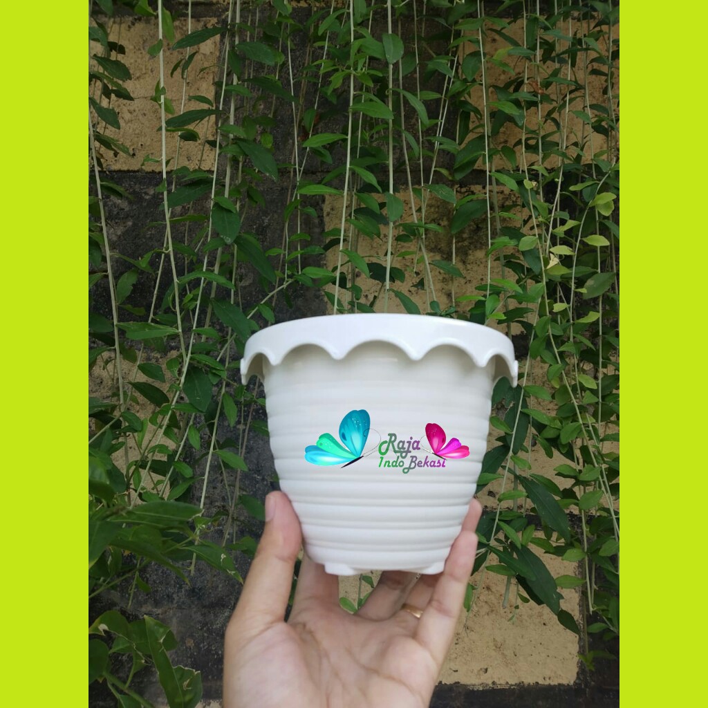 PAKET 3 PCS POT BUNGA TANAMAN TAIWAN BEE 131 PUTIH MIRIP TAWON / PLASTIK / POT KAKTUS