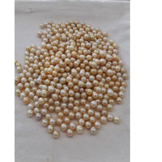 MUTIARA LAUT GRADE A LOMBOK BUTIR MUTIARA LAUT ASLI BUTIRAN MUTIARA PUTIH GOLD LAUT