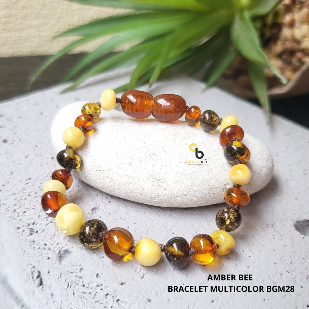 Gelang Amber Bayi Anak Premium Glossy Multicolor BGM028 By Amber Bee