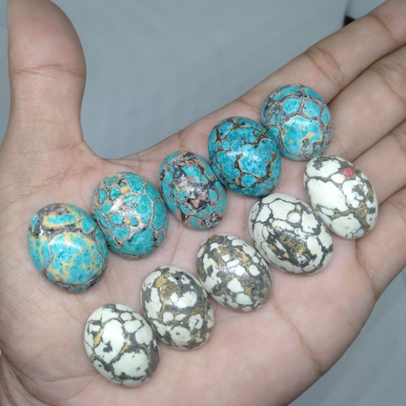 

Borongan pirus komposite 10pcs