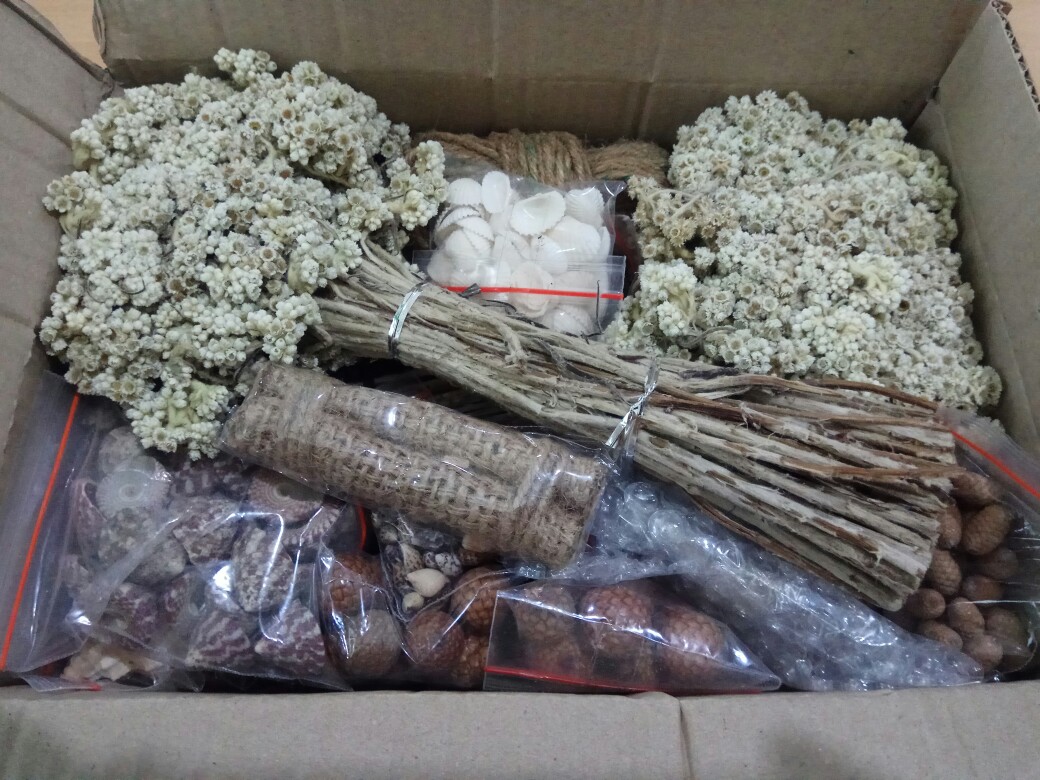 Kerang Kerikil / Bahan Kerajinan