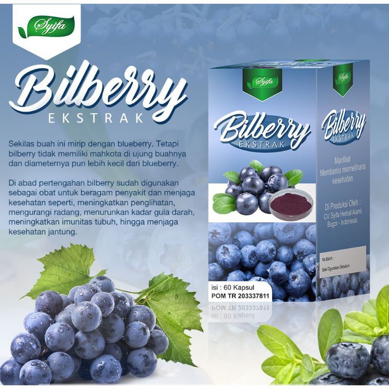 Ekstrak Bilberry Syifa 60 Kpsl | Menjaga Kesehatan Mata