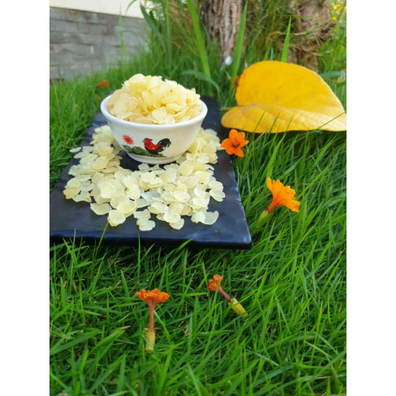 

Snow lotus seed/xue lian zhi/honey locust/dried snowlotusseeds/biji bunga teratai/250 gram