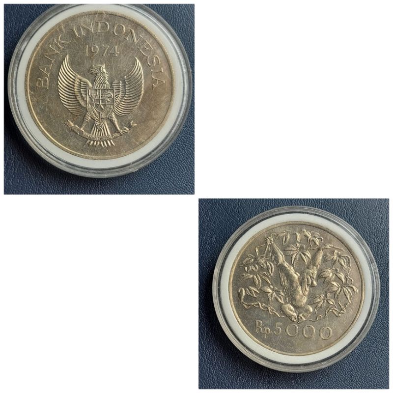 Koin Kuno Indonesia Series Orang Utan 5000 Rupiah tahun 1974 Bahan Silver +Kapsul Kondisi Luster -Se
