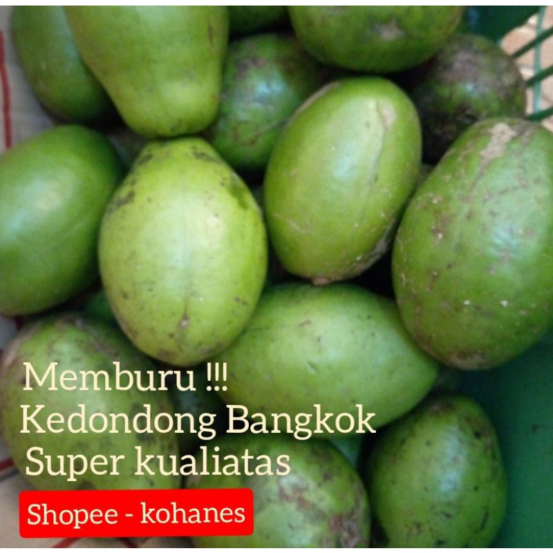 

KEDONDONG BANGKOK FRESH ( PILIHAN SPESIAL)