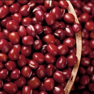 

kacang merah azuki adzuki azkusi 500gr red bean import