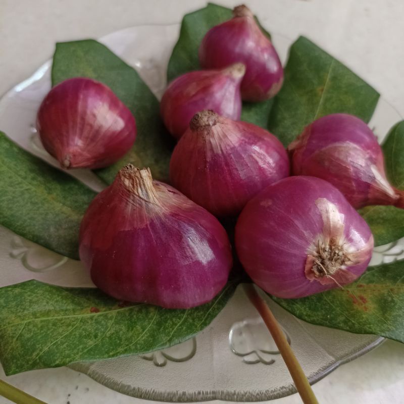 

bawang merah brebes 1kg