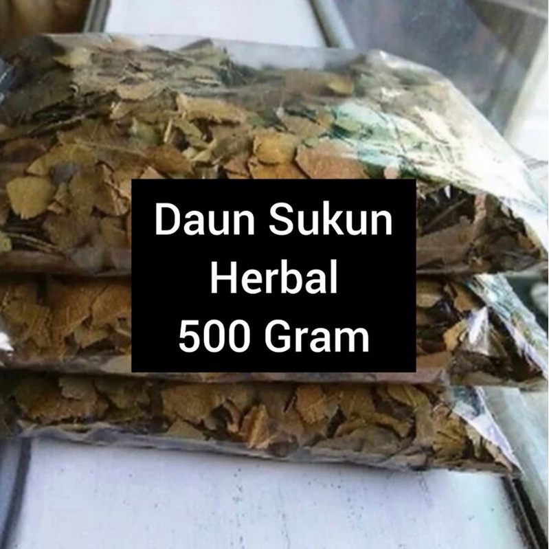 DAUN SUKUN HERBAL ALAMI KEMASAN 500 Gram