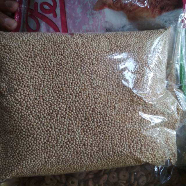 

Pakan burung dan ayam